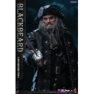 TGTOYS×SWTOYS TG8015 1/6 Scale Blackbeard